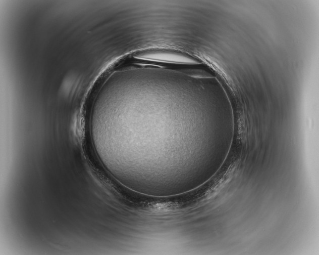 X0000093730584200710161118