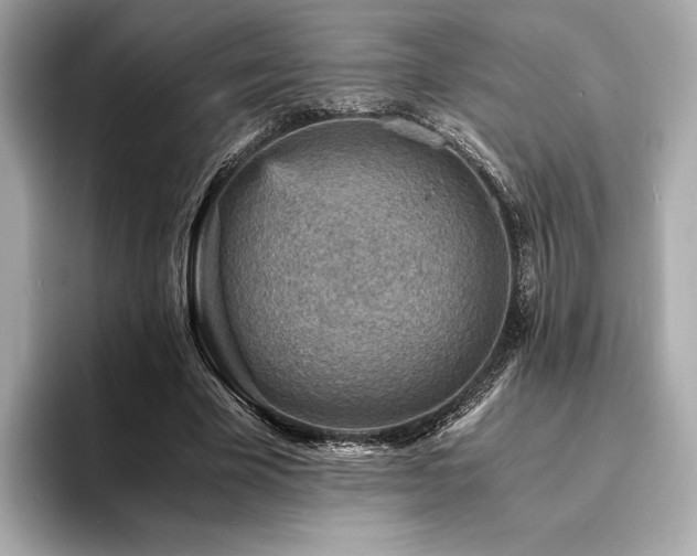 X0000093730585200710161118