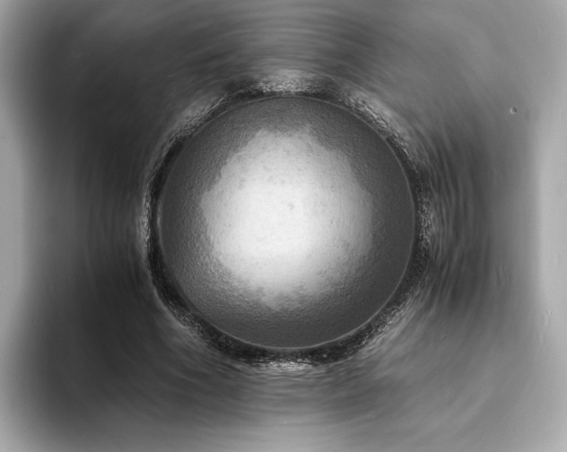 X0000093730586200710161118