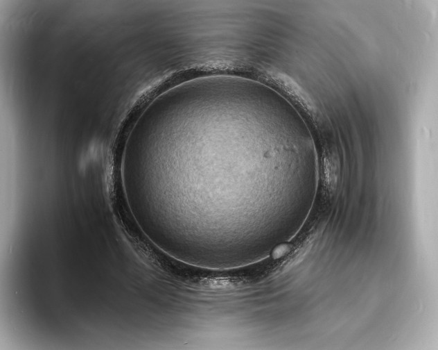 X0000093730588200710161118
