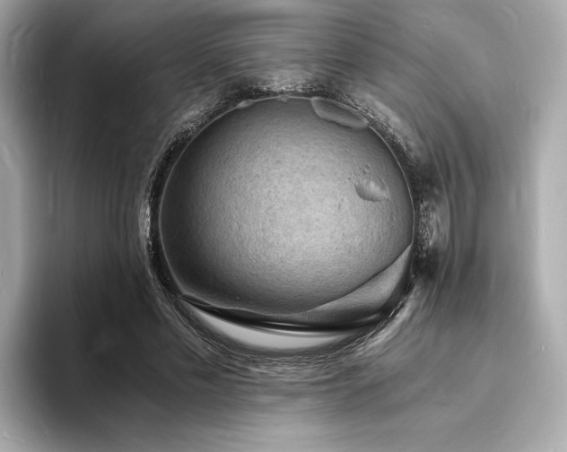 X0000093730589200710161118