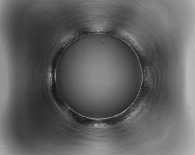 X0000093730590200710161118