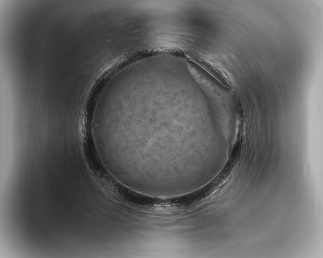 X0000093730591200710161118