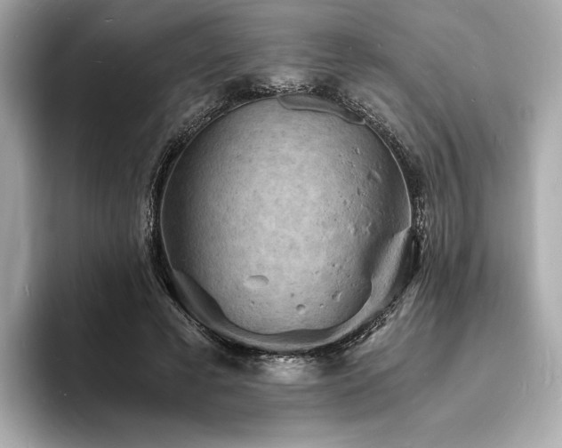 X0000093730593200710161118