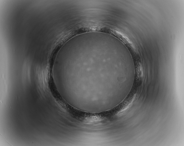 X0000093730594200710161118