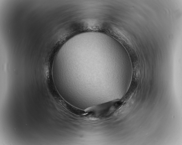 X0000093730595200710161118