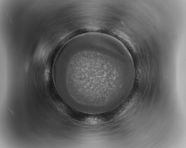 X0000093730596200710161118