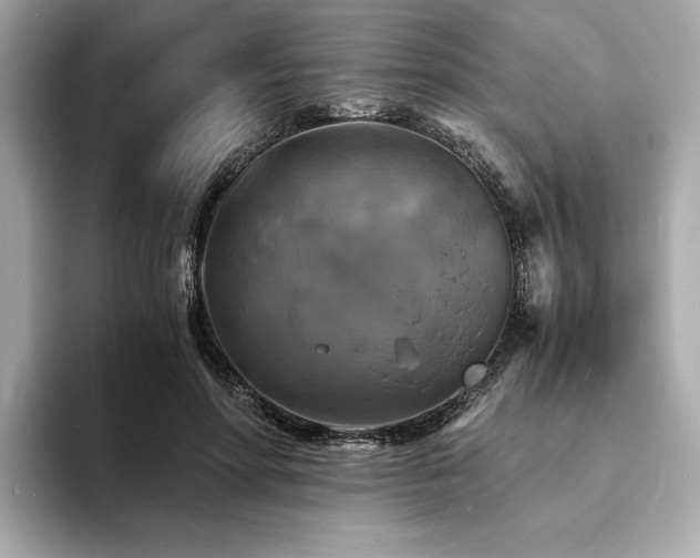 X0000093730598200710161118