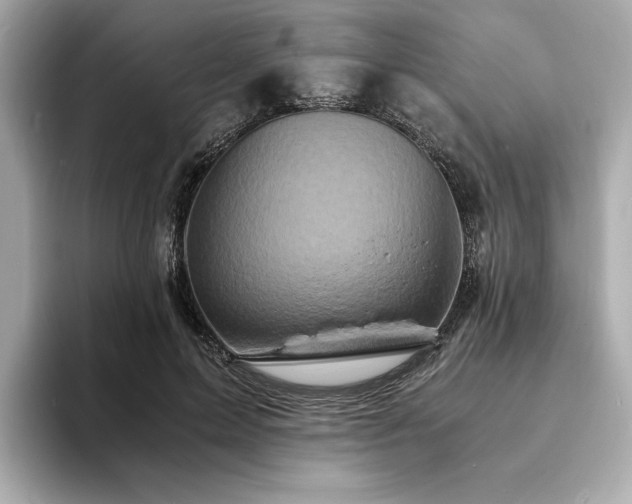 X0000093730599200710161118