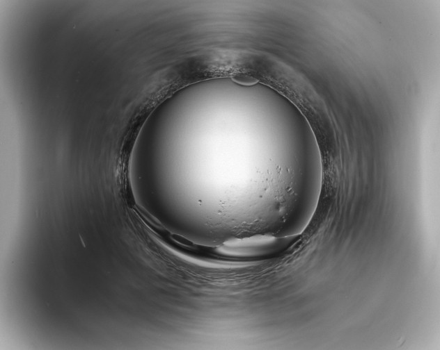 X0000093730601200710161118