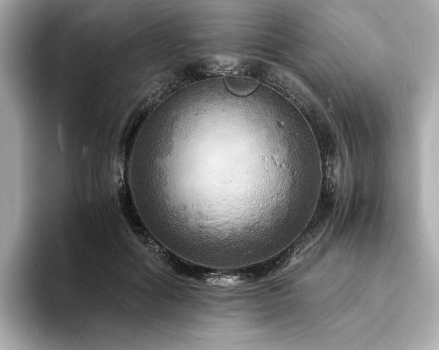 X0000093730602200710161118