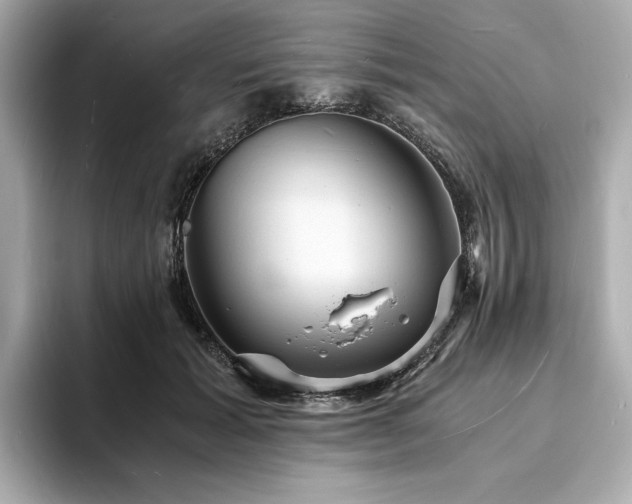 X0000093730605200710161118