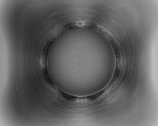 X0000093730606200710161118