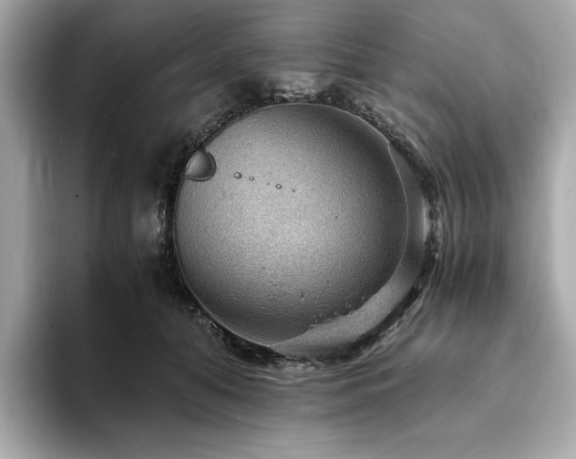 X0000093730608200710161118