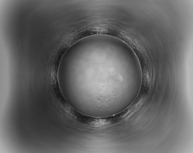 X0000093730609200710161118