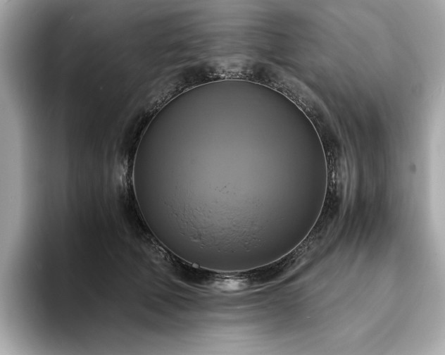 X0000093730610200710161118
