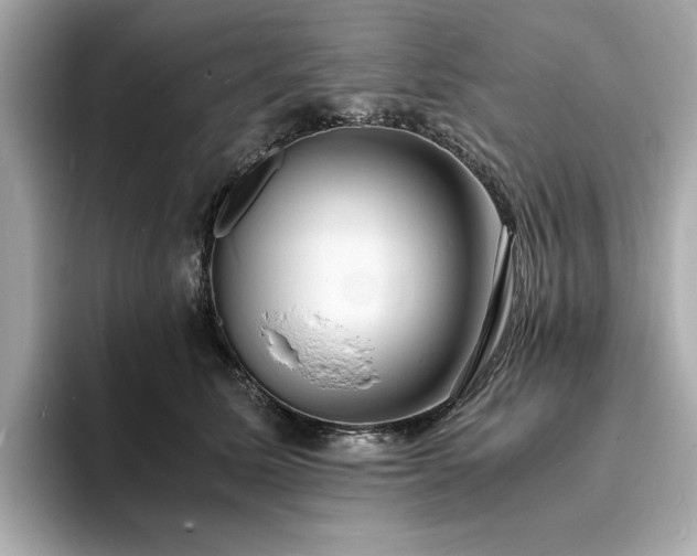 X0000093730611200710161118