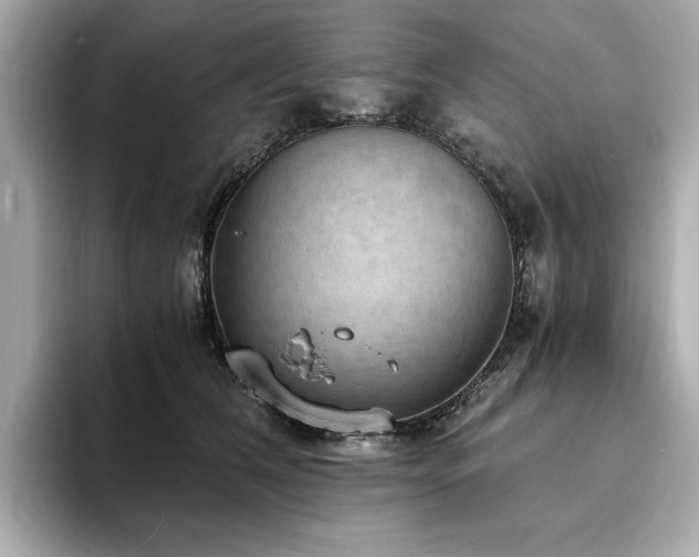 X0000093730612200710161118