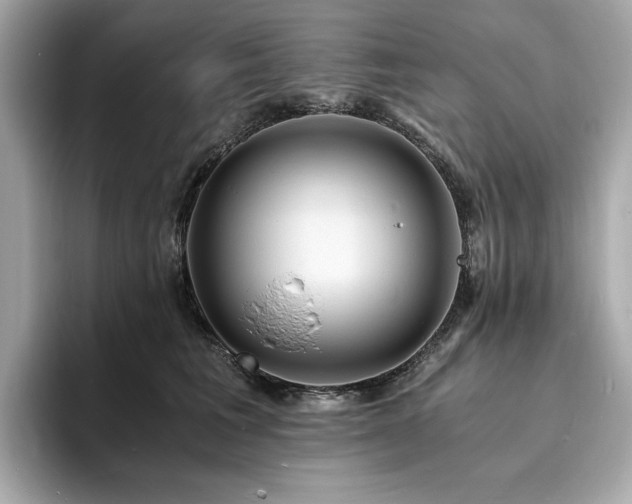 X0000093730613200710161118