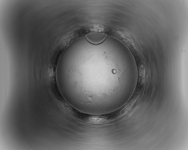 X0000093730614200710161118