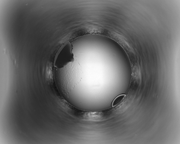 X0000093730622200710161118