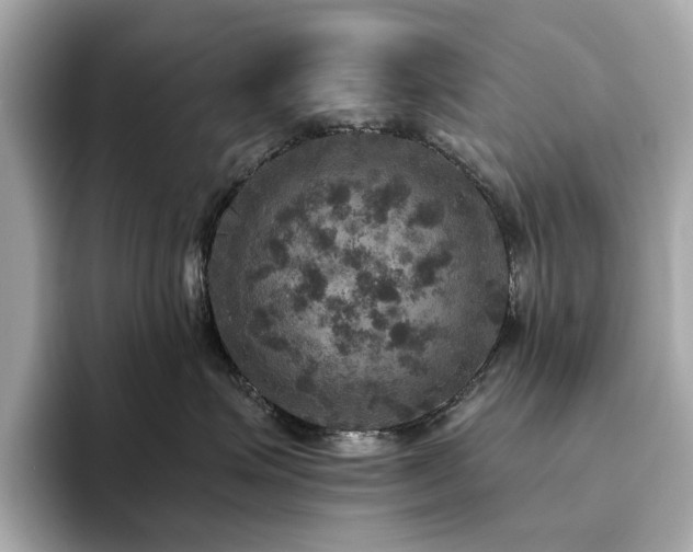 X0000093730623200710161118