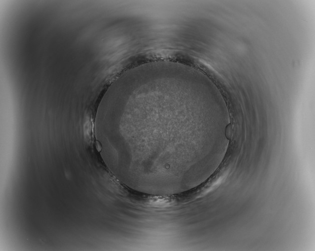 X0000093730624200710161118