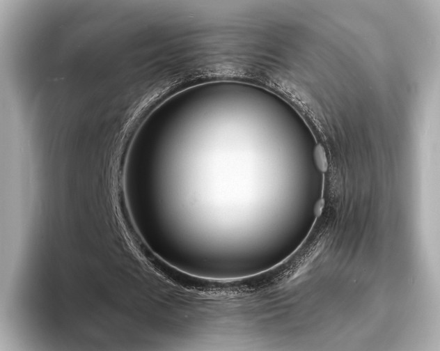 X0000093730625200710161117