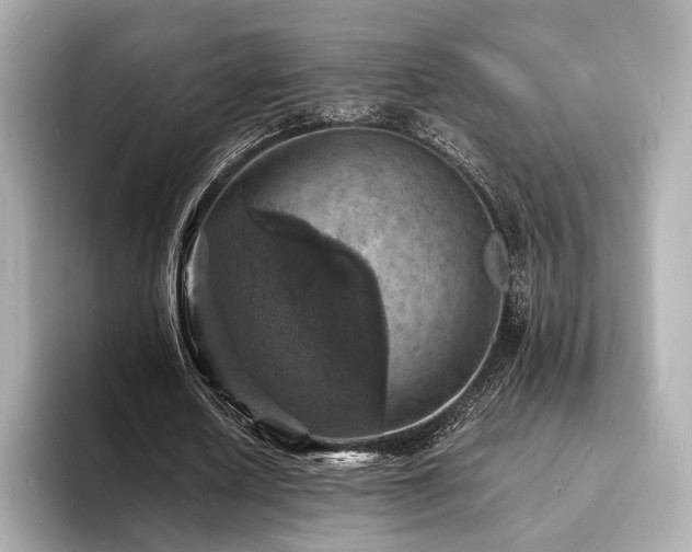 X0000093730626200710161117