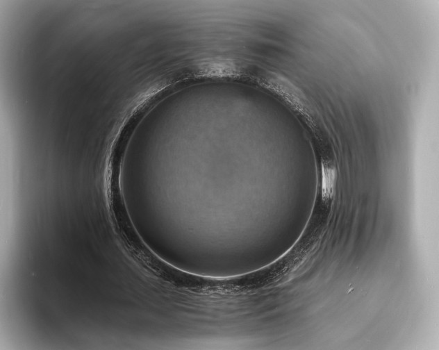 X0000093730627200710161117