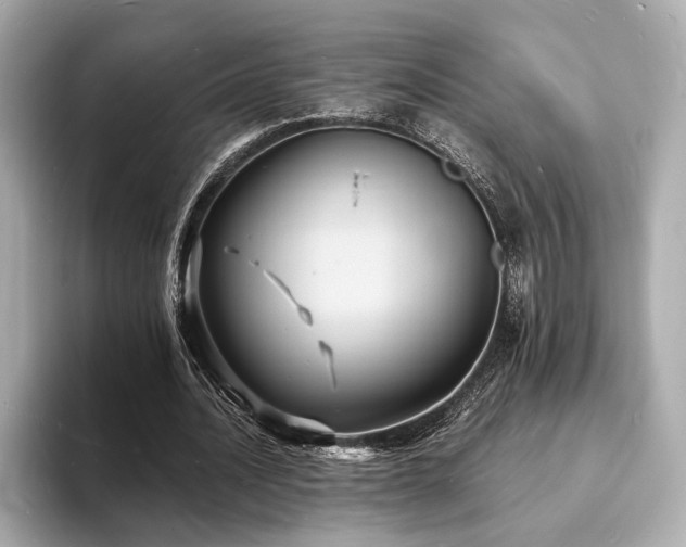X0000093730628200710161117