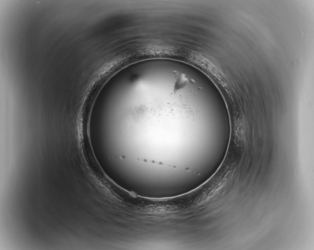 X0000093730629200710161117