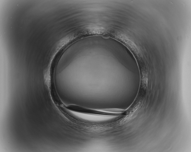 X0000093730630200710161117