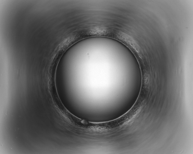 X0000093730633200710161117