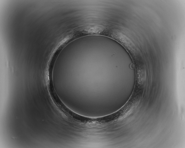 X0000093730634200710161117
