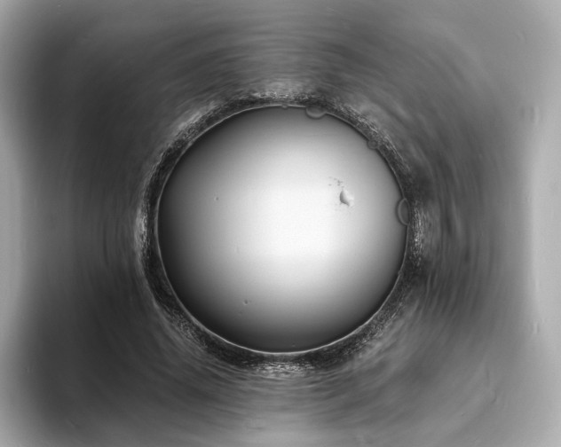 X0000093730636200710161117