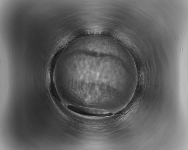 X0000093730638200710161117
