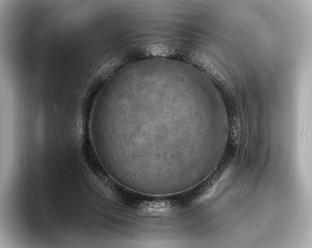X0000093730639200710161117