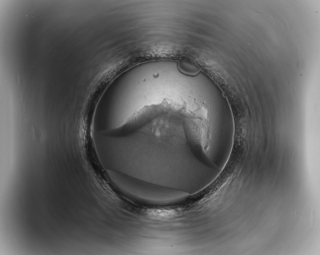 X0000093730640200710161117