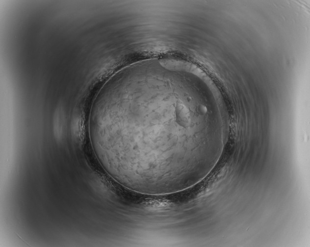 X0000093730642200710161117