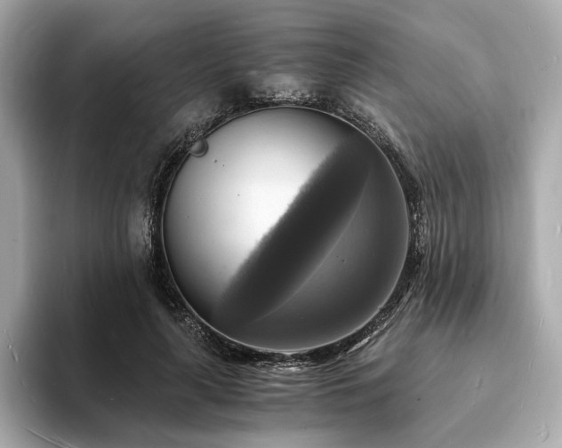 X0000093730643200710161117