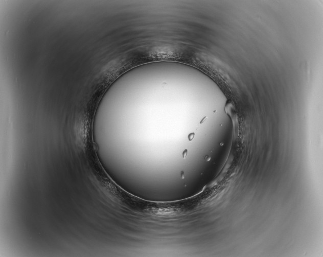 X0000093730645200710161117