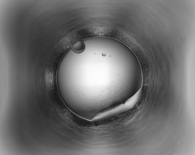X0000093730646200710161117