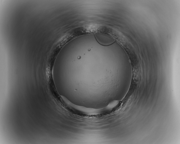 X0000093730648200710161117