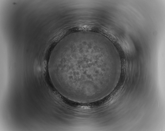 X0000093730649200710161117