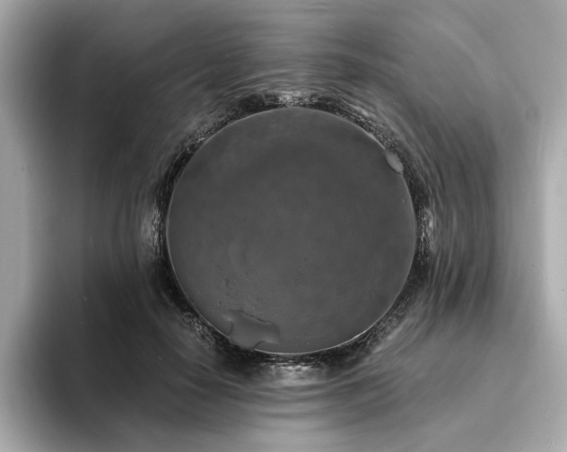 X0000093730650200710161118