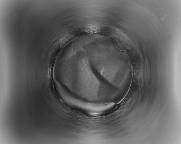 X0000093730652200710161118