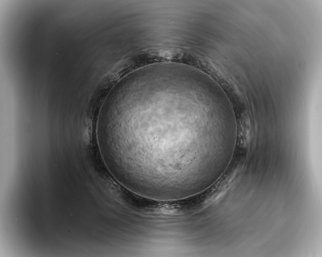 X0000093730656200710161118