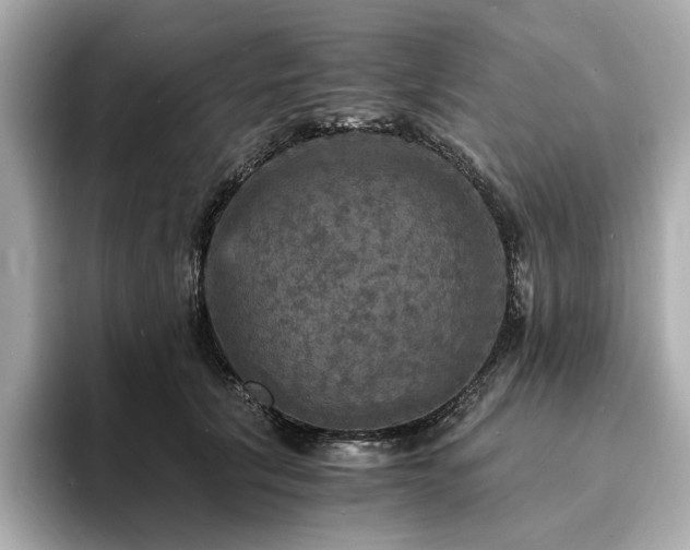 X0000093730657200710161118