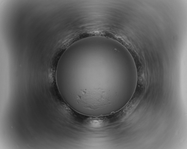 X0000093730658200710161118